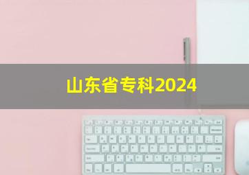 山东省专科2024