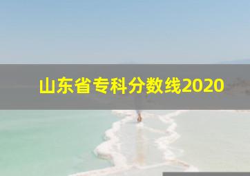 山东省专科分数线2020