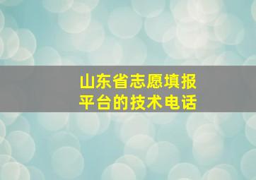 山东省志愿填报平台的技术电话