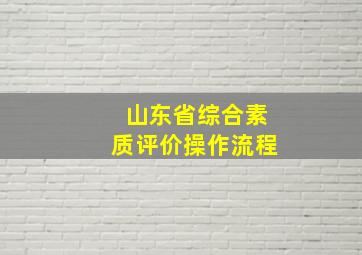 山东省综合素质评价操作流程