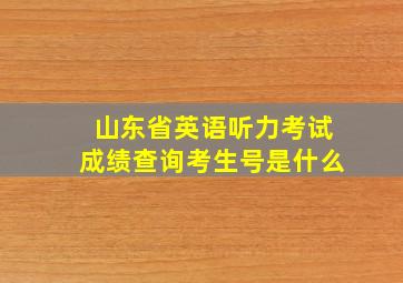 山东省英语听力考试成绩查询考生号是什么