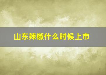 山东辣椒什么时候上市