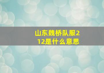 山东魏桥队服212是什么意思