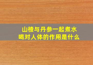 山楂与丹参一起煮水喝对人体的作用是什么