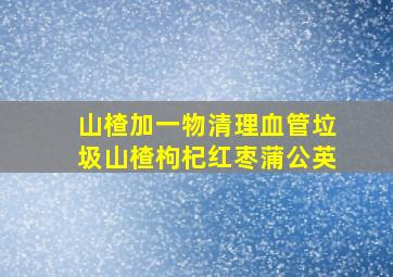 山楂加一物清理血管垃圾山楂枸杞红枣蒲公英