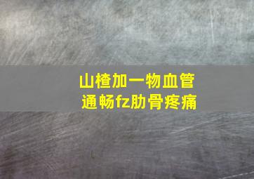 山楂加一物血管通畅fz肋骨疼痛