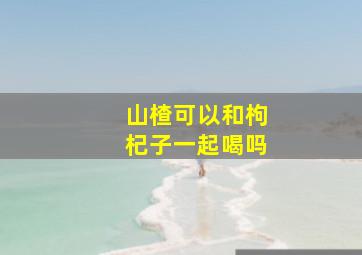 山楂可以和枸杞子一起喝吗