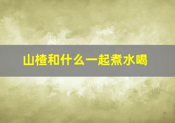 山楂和什么一起煮水喝