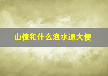 山楂和什么泡水通大便