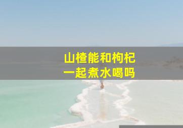 山楂能和枸杞一起煮水喝吗