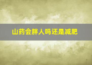 山药会胖人吗还是减肥