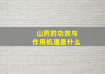 山药的功效与作用机理是什么