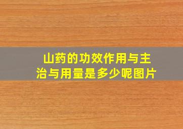 山药的功效作用与主治与用量是多少呢图片