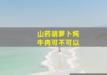 山药胡萝卜炖牛肉可不可以