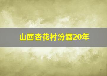 山西杏花村汾酒20年