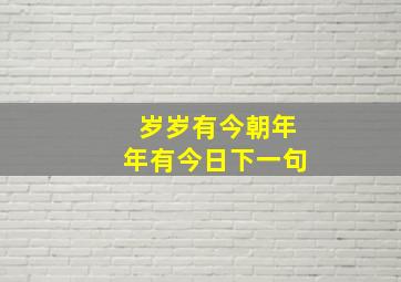 岁岁有今朝年年有今日下一句