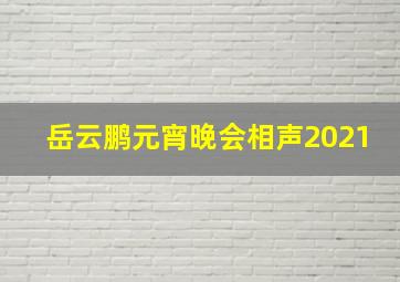 岳云鹏元宵晚会相声2021