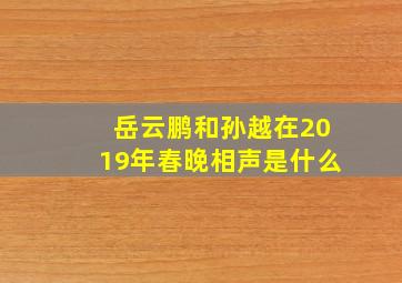 岳云鹏和孙越在2019年春晚相声是什么