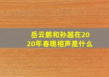 岳云鹏和孙越在2020年春晚相声是什么