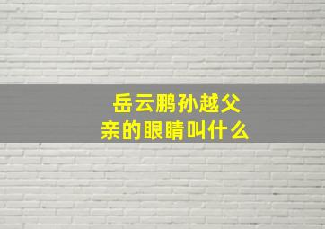 岳云鹏孙越父亲的眼睛叫什么