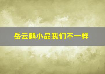 岳云鹏小品我们不一样