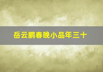 岳云鹏春晚小品年三十