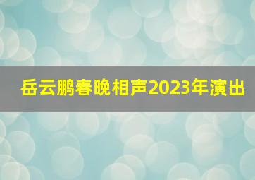 岳云鹏春晚相声2023年演出