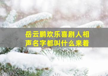 岳云鹏欢乐喜剧人相声名字都叫什么来着