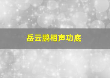 岳云鹏相声功底