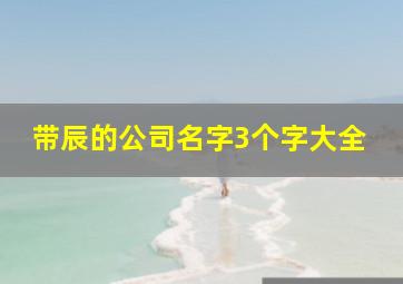 带辰的公司名字3个字大全