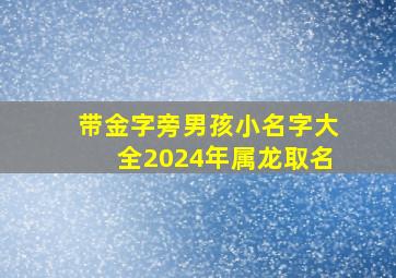 带金字旁男孩小名字大全2024年属龙取名