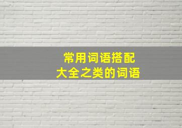 常用词语搭配大全之类的词语