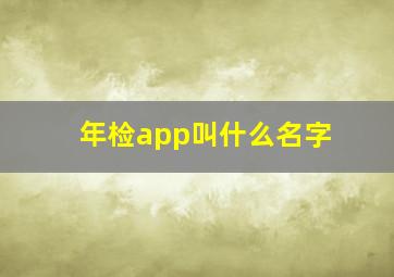 年检app叫什么名字