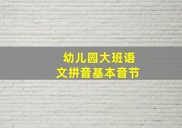 幼儿园大班语文拼音基本音节