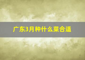 广东3月种什么菜合适