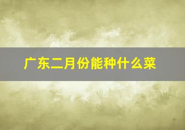 广东二月份能种什么菜