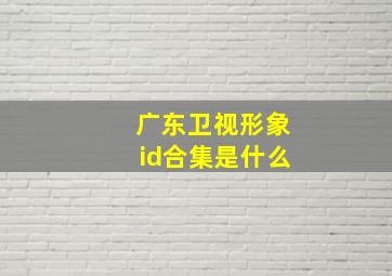 广东卫视形象id合集是什么