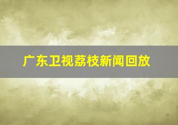 广东卫视荔枝新闻回放