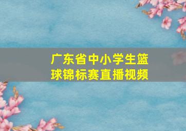 广东省中小学生篮球锦标赛直播视频