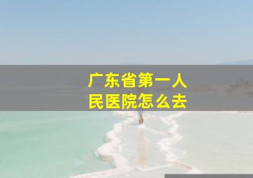 广东省第一人民医院怎么去