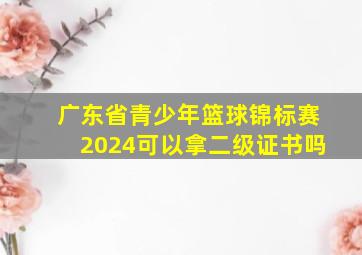 广东省青少年篮球锦标赛2024可以拿二级证书吗