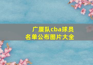 广厦队cba球员名单公布图片大全