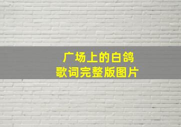 广场上的白鸽歌词完整版图片