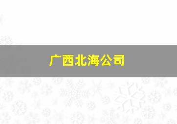 广西北海公司