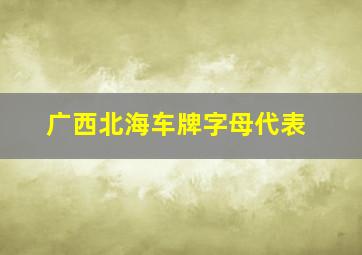 广西北海车牌字母代表