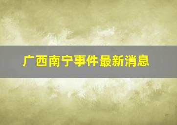 广西南宁事件最新消息