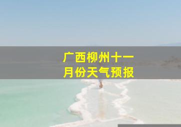 广西柳州十一月份天气预报