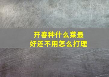 开春种什么菜最好还不用怎么打理