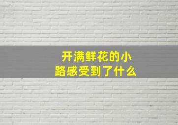 开满鲜花的小路感受到了什么