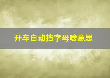 开车自动挡字母啥意思